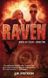 Raven: Birds of Flight-Book Two (eBook,... - Bild 1