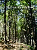 Il &quote;mio&quote; cammino di Santiago (eBook, ePUB)