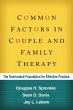 Common Factors in Couple and Family... - Bild 1
