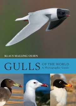 Gulls of the World - Malling Olsen, Klaus