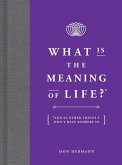 What Is the Meaning of Life?: And 92 Other Things I Don't Have Answers to