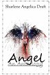 Angel - Bild 1