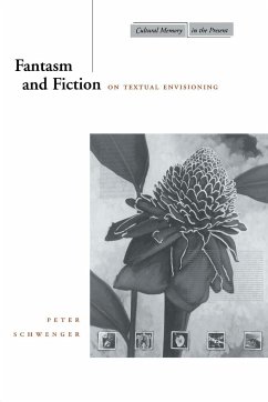 Fantasm and Fiction - Schwenger, Peter