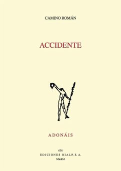 Accidente - Román Álvarez, Camino