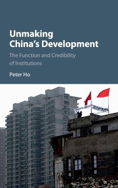 Unmaking China's Development - Ho, Peter