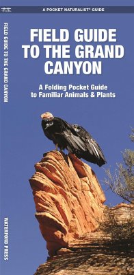 Field Guide to the Grand Canyon - Kavanagh, James; Waterford Press