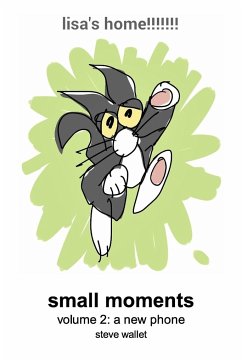 small moments, vol. 2 - Wallet, Steve