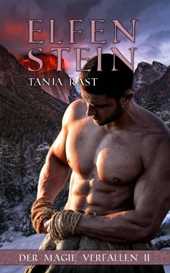 Elfenstein (eBook, ePUB) - Rast, Tanja