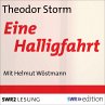 Eine Halligfahrt (MP3-Download) - Bild 1