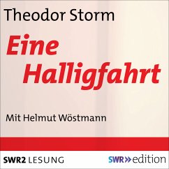 Eine Halligfahrt (MP3-Download) - Storm, Theodor