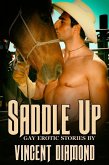Saddle Up Box Set (eBook, ePUB)
