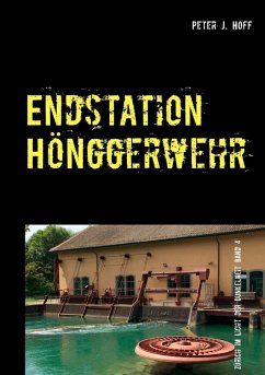 Endstation Hönggerwehr (eBook, ePUB)