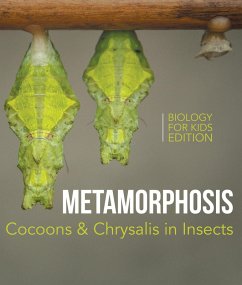 Metamorphosis: Cocoons & Chrysalis in Insects   Biology for Kids Edition (eBook, ePUB) - Baby