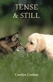 Tense & Still (eBook, ePUB)