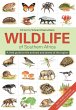 The Wildlife of Southern Africa (eBook,... - Bild 1
