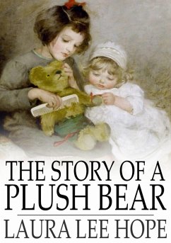 Cover Story of a Plush Bear (eBook, ePUB)