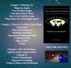 The Globalist Playbook: Humanity Is Awakening (eBook, ePUB) - Grace, Siobhan