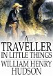 Traveller in Little Things (eBook, ePUB) - Bild 1