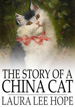 Story of a China Cat (eBook, ePUB) - Hope, Laura Lee