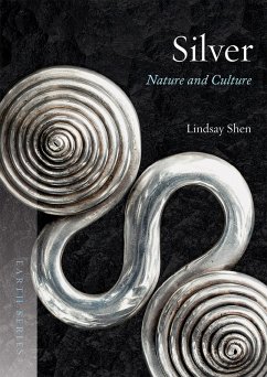 Silver (eBook, ePUB) - Lindsay Shen, Shen