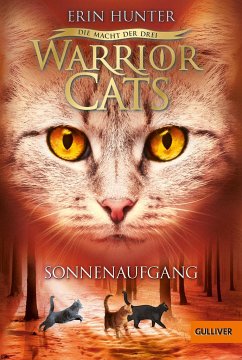 Sonnenaufgang / Warrior Cats Staffel 3 Bd.6 - Hunter, Erin