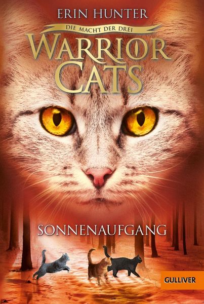 Buch-Reihe Warrior Cats Staffel 3 von Erin Hunter