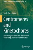 Centromeres and Kinetochores