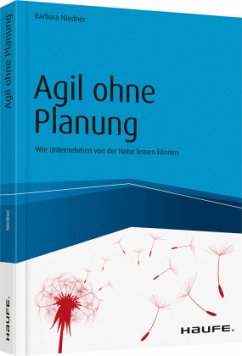 Agil ohne Planung - Niedner, Barbara