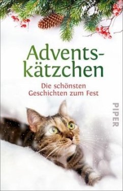 Adventskätzchen