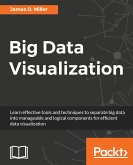 Big Data Visualization (eBook, ePUB)