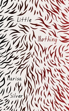 Little Nothing (eBook, ePUB) - Silver, Marisa