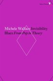 Invisibility Blues (eBook, ePUB)