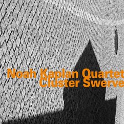 Cluster Swerve - Kaplan,Noah Quartet