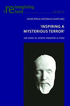 Cover 'Inspiring A Mysterious Terror' (eBook, PDF)