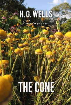 Cover Cone (eBook, ePUB)