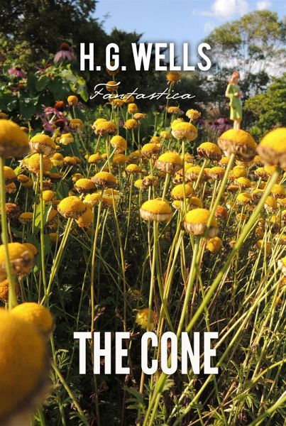 Cone (eBook, ePUB)