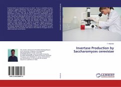 Invertase Production by Saccharomyces cerevisiae