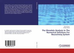 The Wavelets Analysis In The Numerical Solutions For Boussinesq System