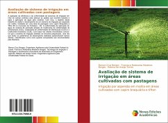 Avaliação de sistema de irrigação em áreas cultivadas com pastagens
