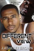 Different View (eBook, ePUB) Different View (eBook, ePUB)