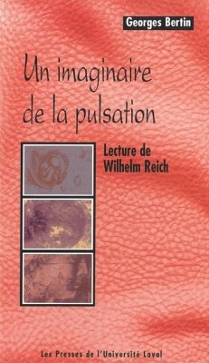 Cover Imaginaire de la pulsation L' (eBook, PDF)
