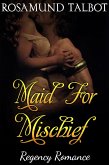 Maid for Mischief (eBook, ePUB)