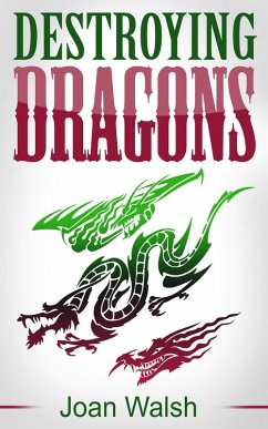 Destroying Dragons (eBook, ePUB) - Walsh, Joan