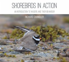 Shorebirds in Action - Chandler, Richard