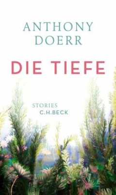 Die Tiefe - Doerr, Anthony