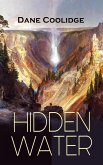 HIDDEN WATER (eBook, ePUB)