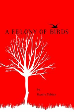 Cover A Felony of Birds (eBook, ePUB)