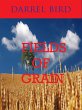 Fields Of Grain (eBook, ePUB) - Bild 1