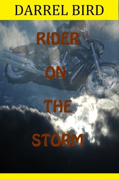 Rider On The Storm (eBook, ePUB) - Bird, Darrel