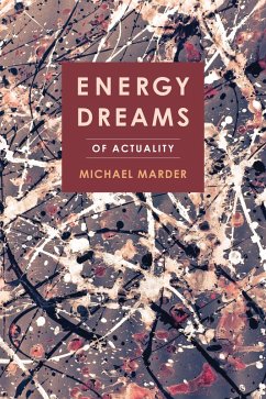 Energy Dreams (eBook, ePUB) - Marder, Michael